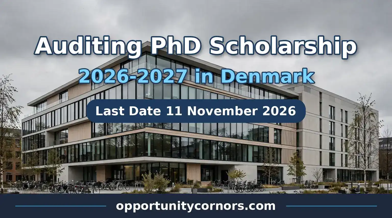 Auditing PhD Scholarship 2026-2027 in Denmark: Fully Funded PhD at CBS
